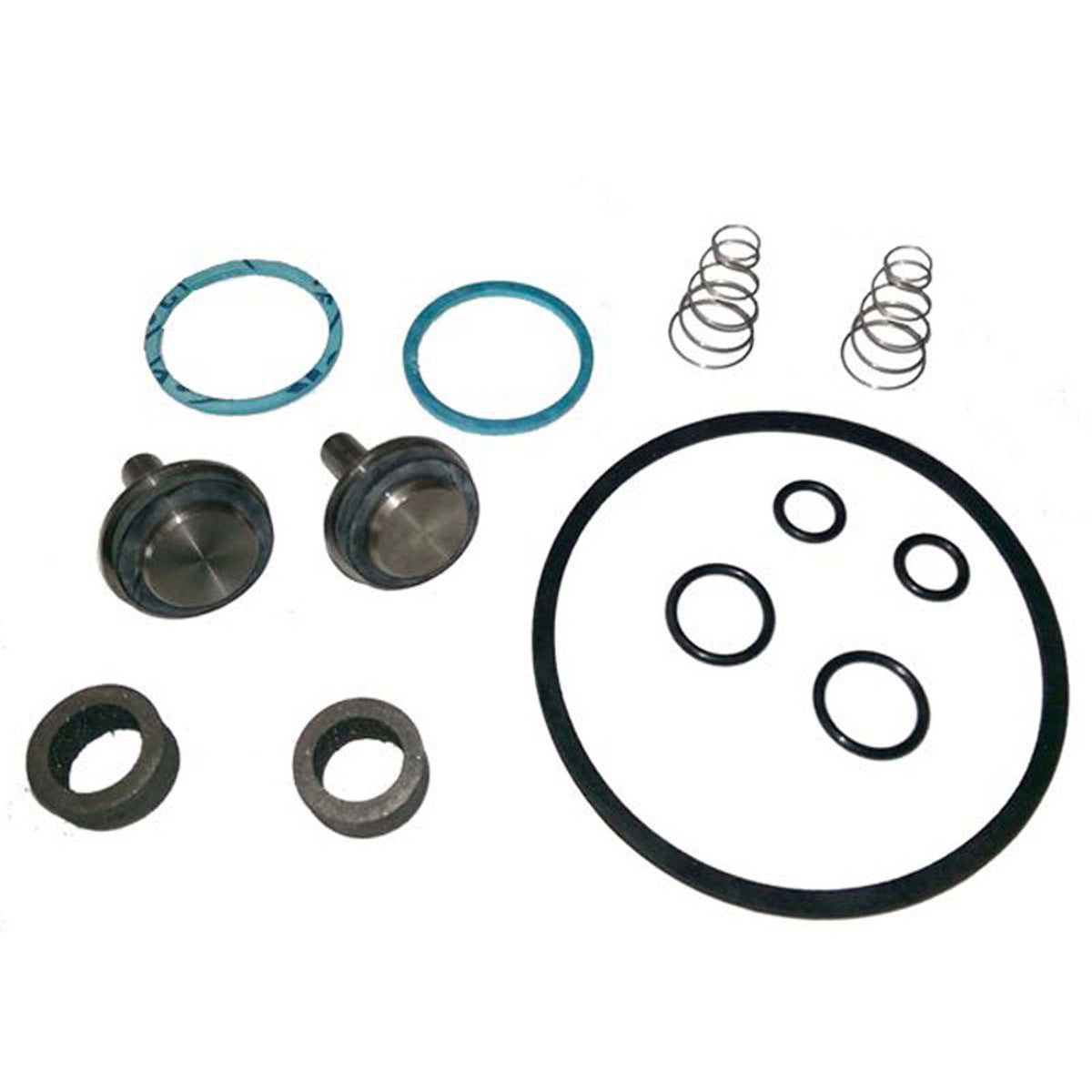 Leonard TM-25 1/26 Repair Kit For Model Thermostatic Mixing Valve